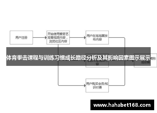 体育拳击课程与训练习惯成长路径分析及其影响因素图示展示