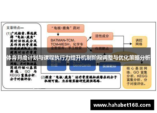 体育月度计划与课程执行力提升机制阶段调整与优化策略分析